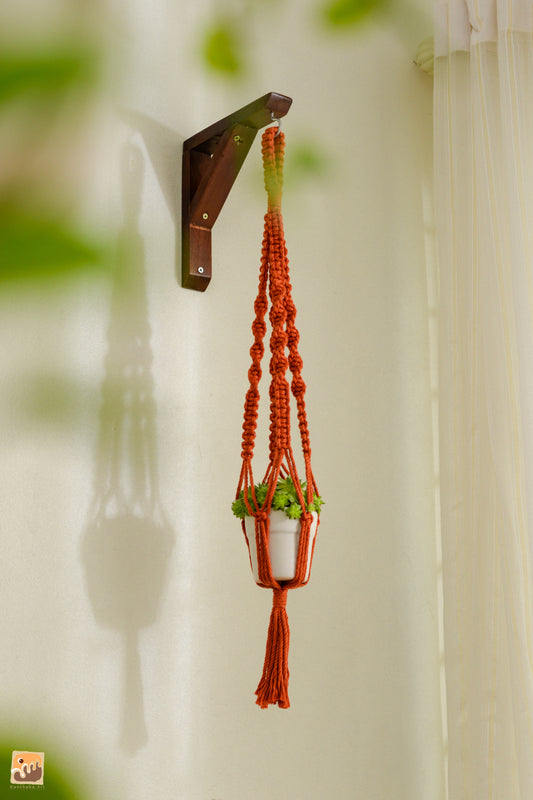 Plant hanger 01