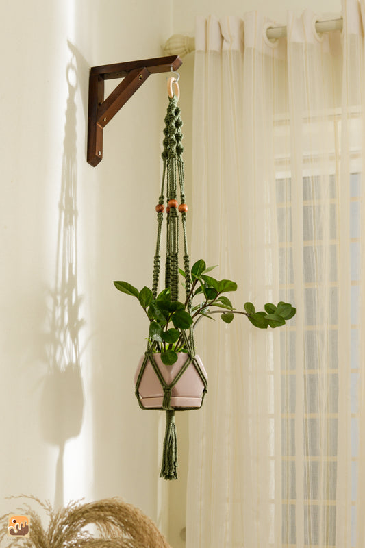 Plant hanger 03