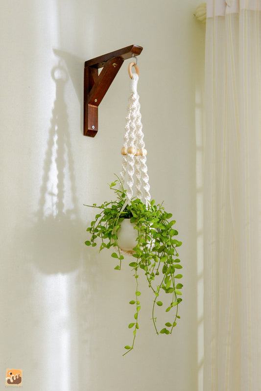 Plant hanger 05